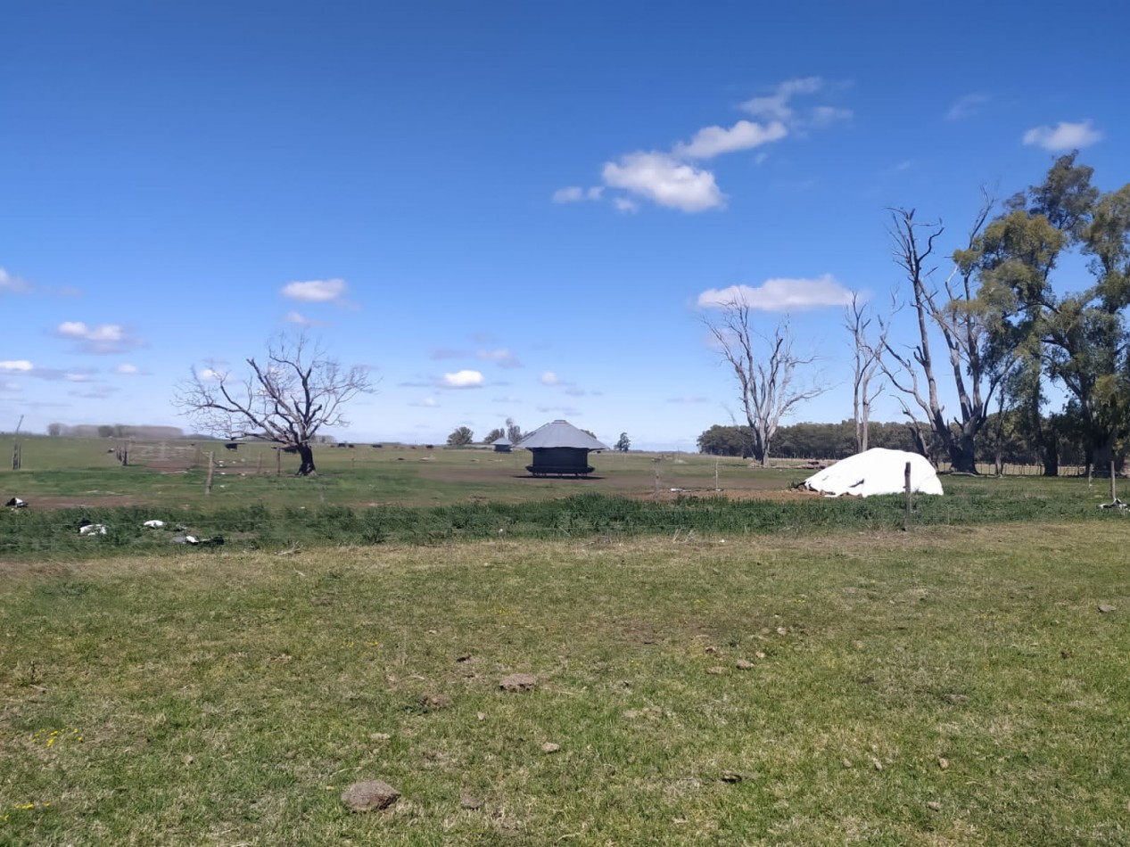 310 ha Mixtas - Del Valle - Tranquera cerrada
