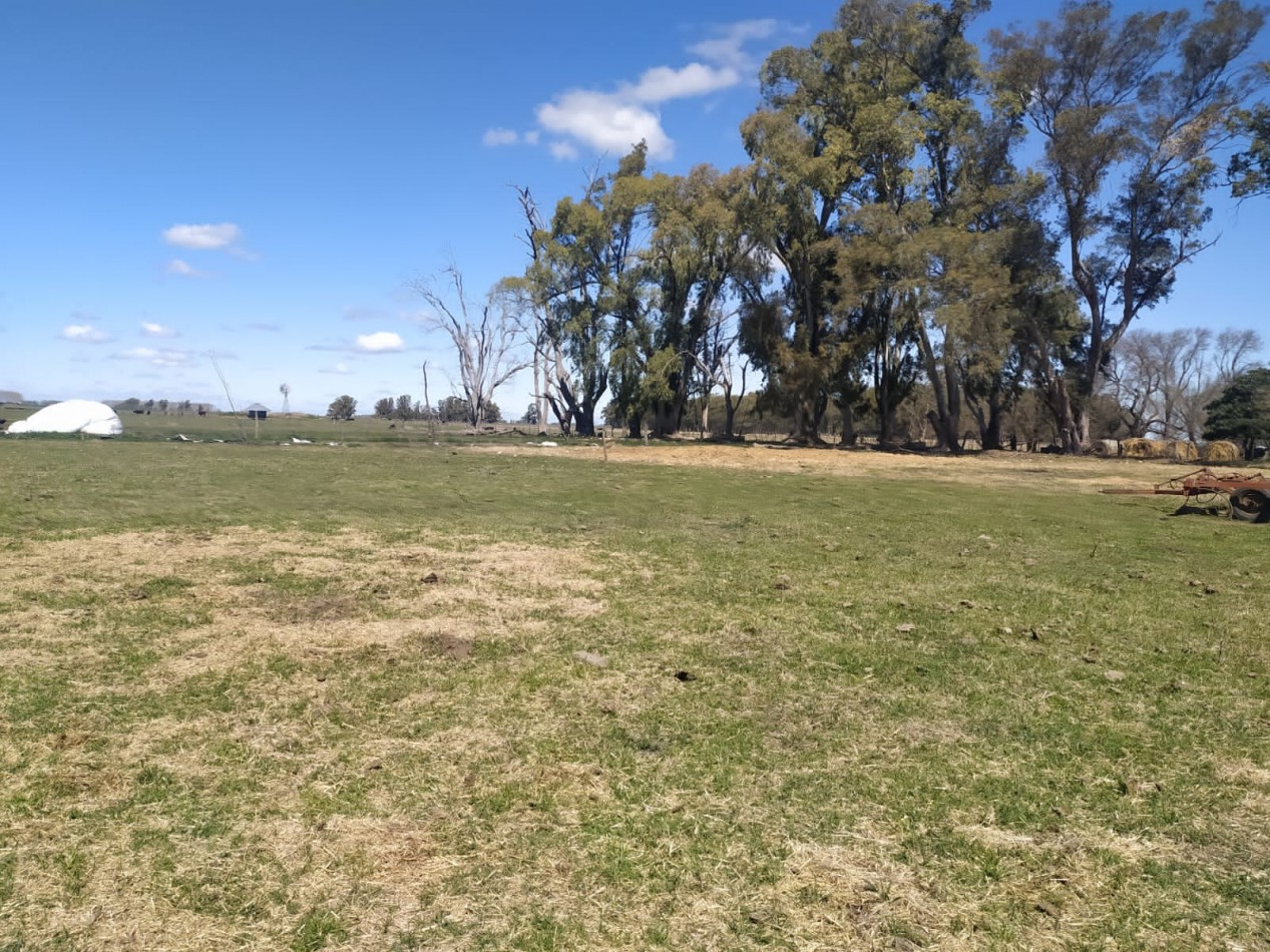 310 ha Mixtas - Del Valle - Tranquera cerrada