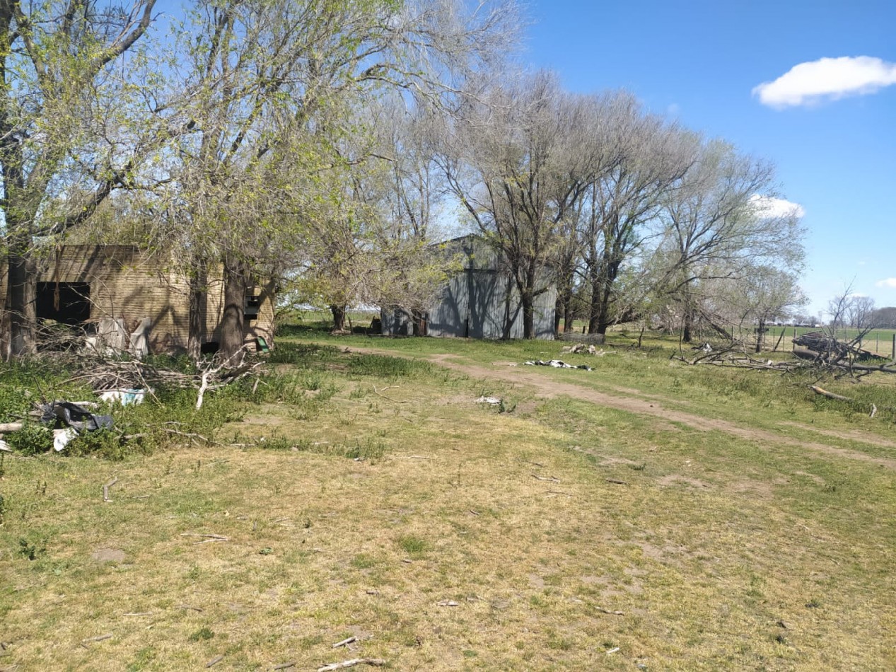310 ha Mixtas - Del Valle - Tranquera cerrada