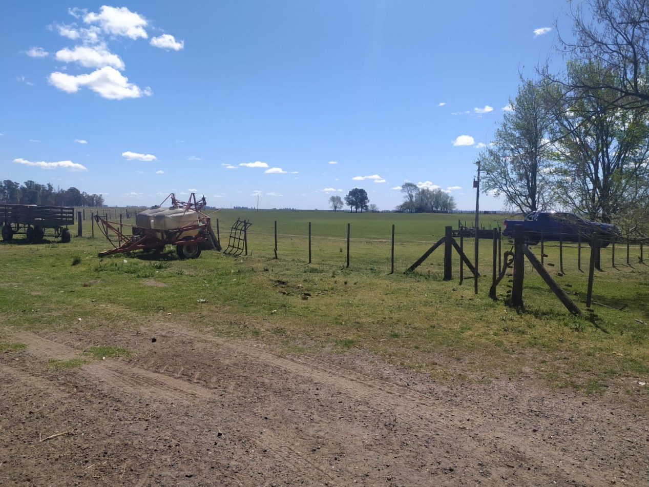 310 ha Mixtas - Del Valle - Tranquera cerrada