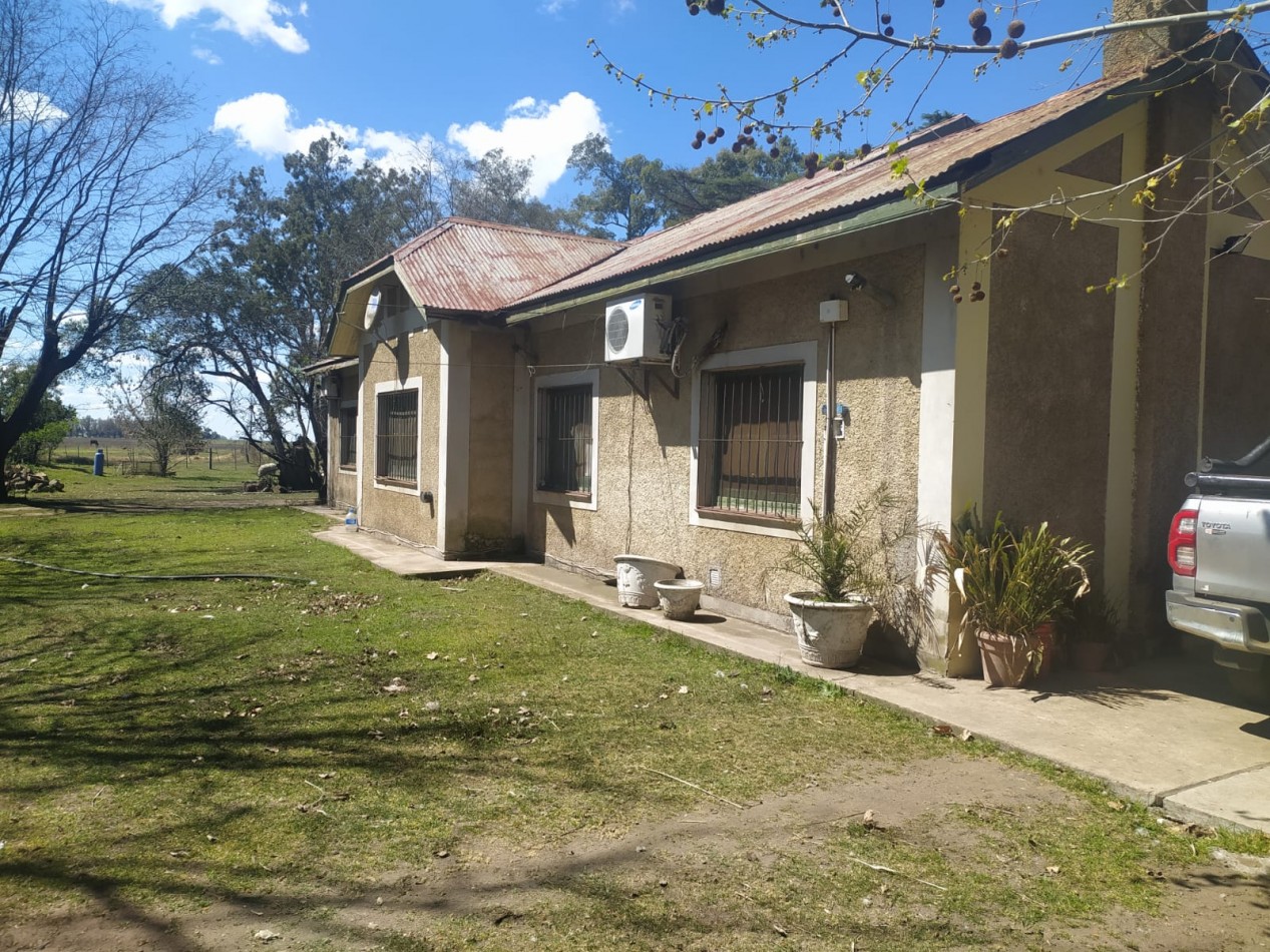 310 ha Mixtas - Del Valle - Tranquera cerrada
