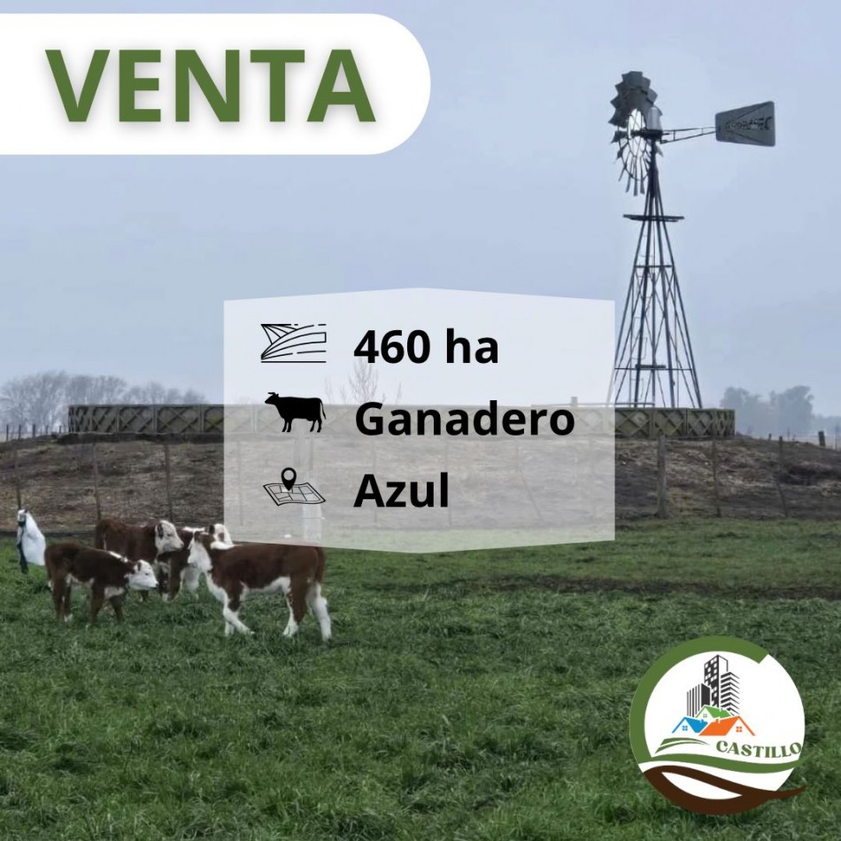 459 ha ganaderas - Cachari