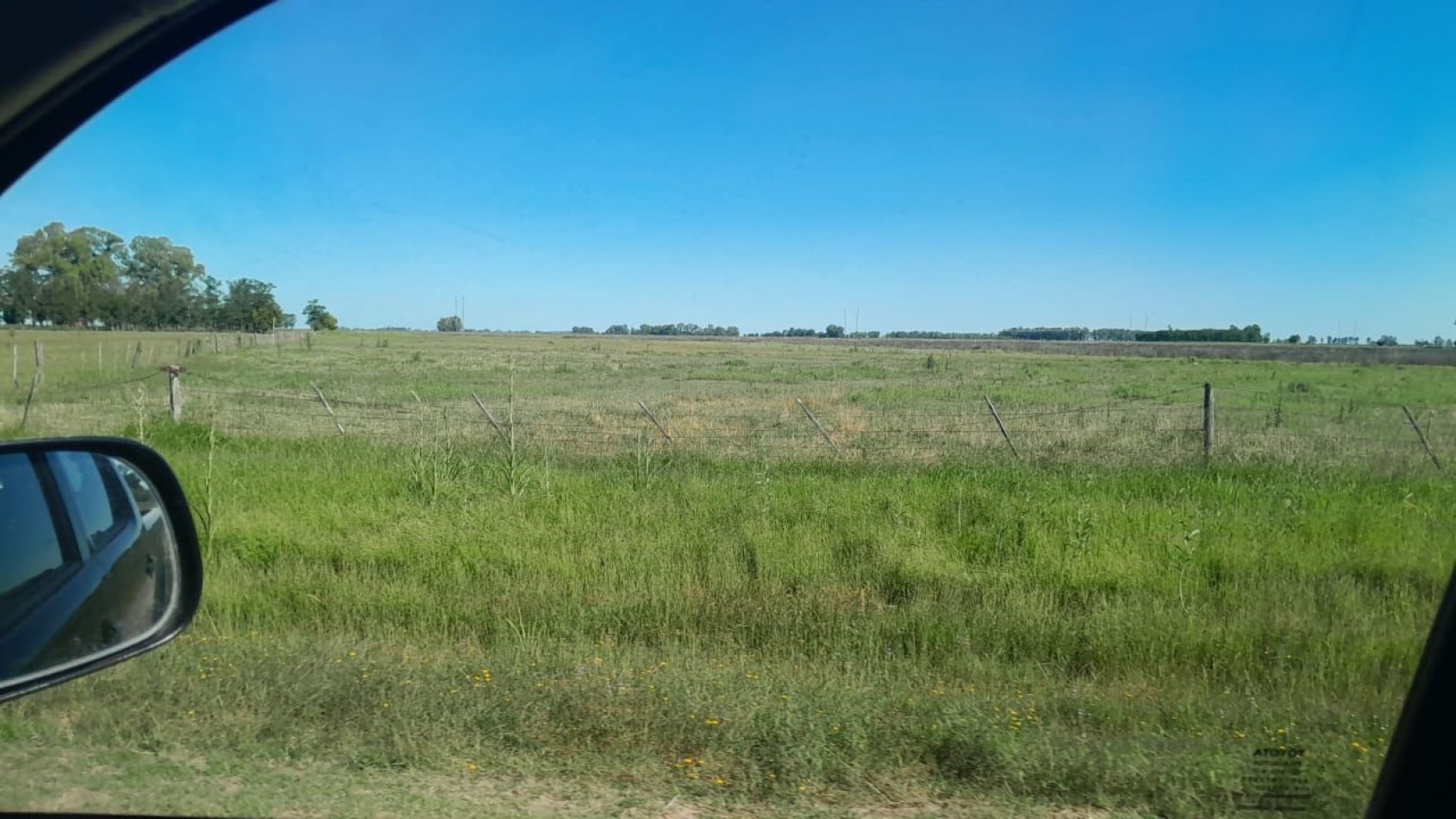 60 ha MIxtas - las flores