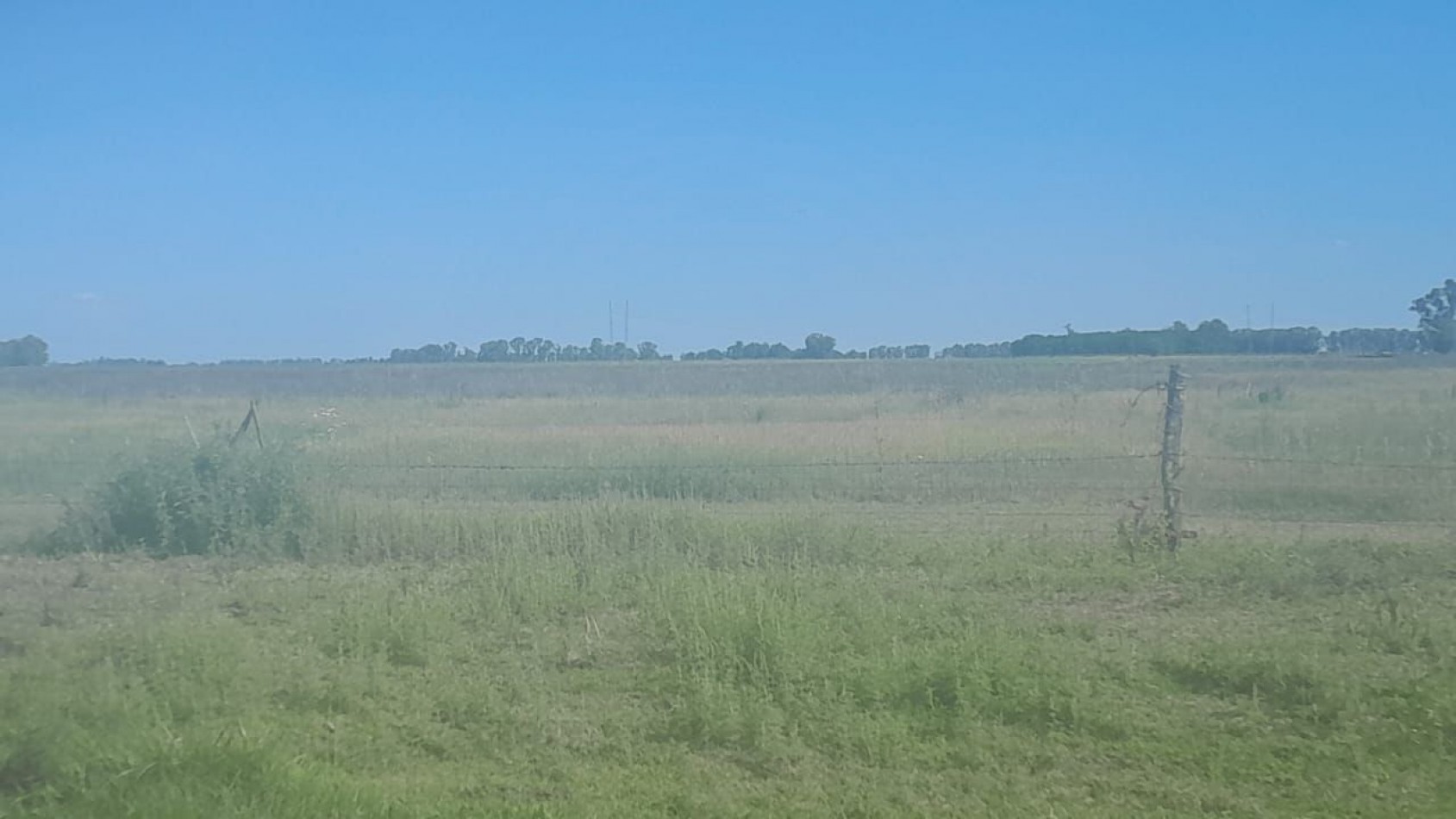 60 ha MIxtas - las flores