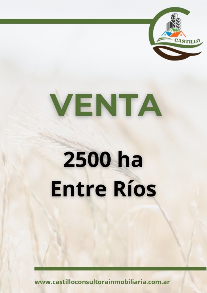 2500 ha agricolas - entre rios
