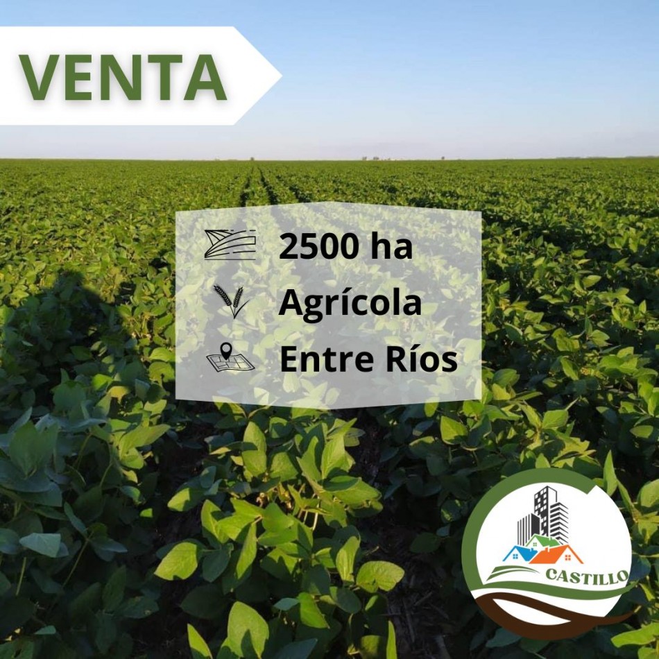 2500 ha agricolas - entre rios