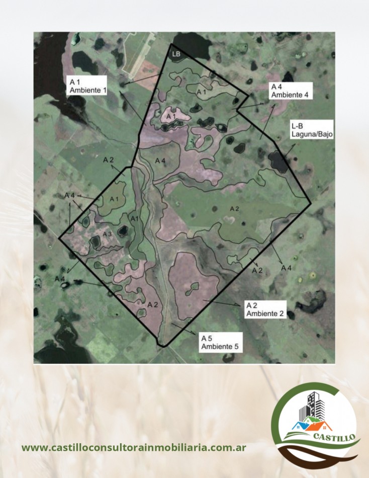 1438 ha mixto - bolivar