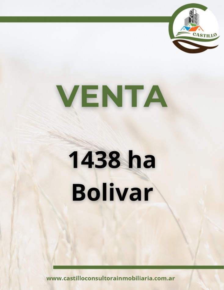 1438 ha mixto - bolivar