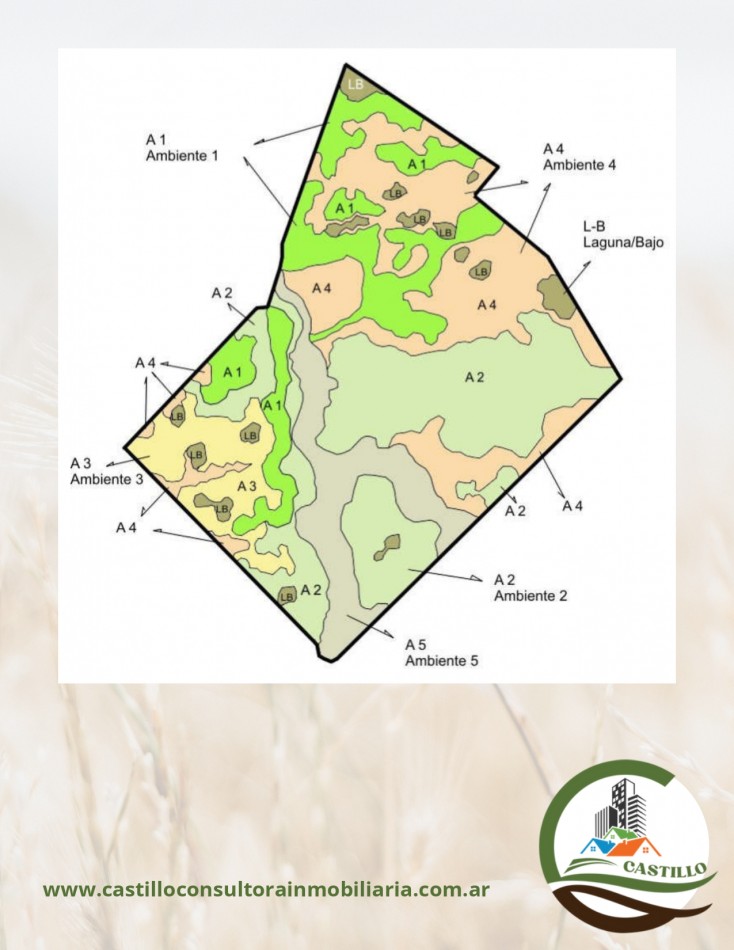 1438 ha mixto - bolivar