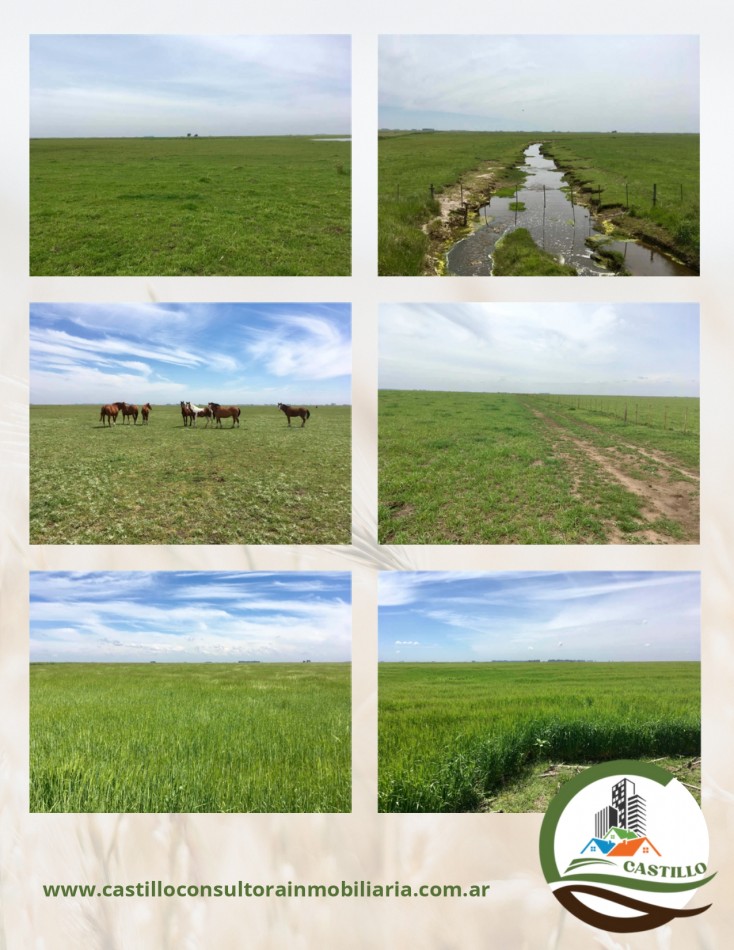 1438 ha mixto - bolivar