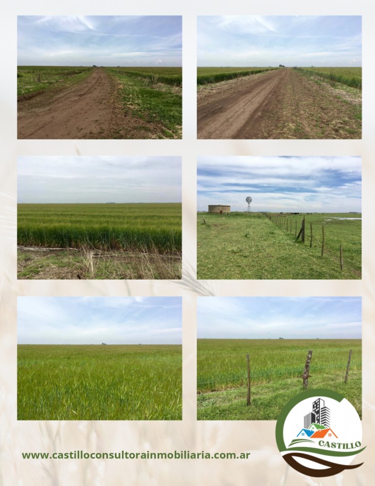 1438 ha mixto - bolivar