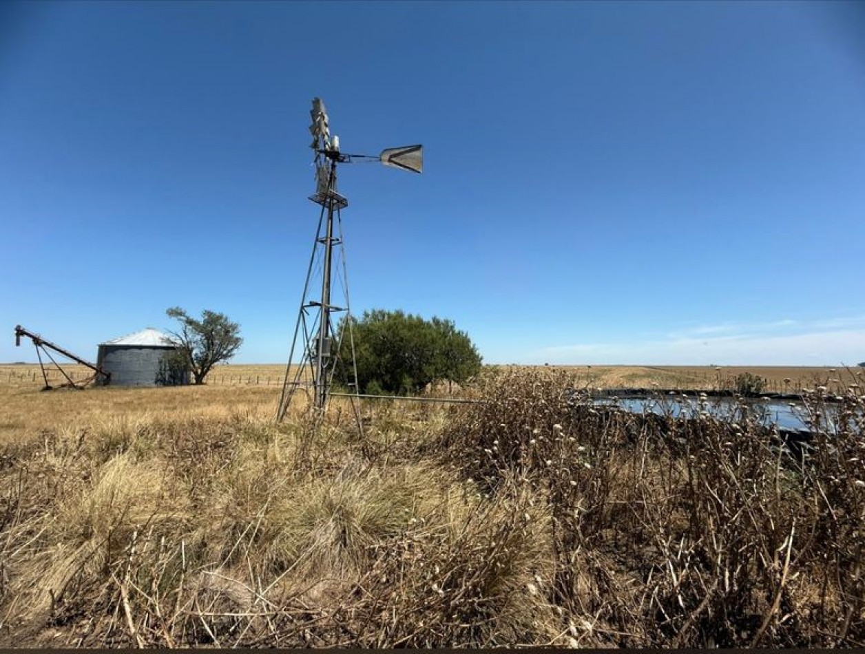 800 Ha Mixto - San German - Buenos Aires