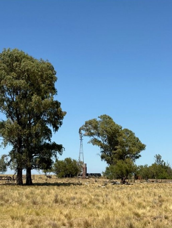 800 Ha Mixto - San German - Buenos Aires