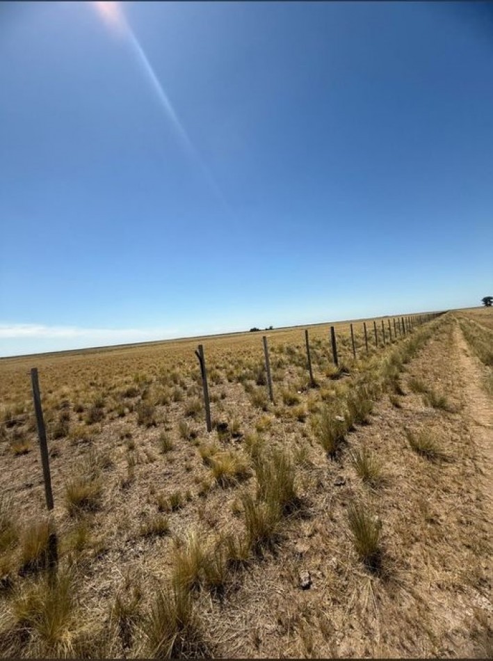800 Ha Mixto - San German - Buenos Aires