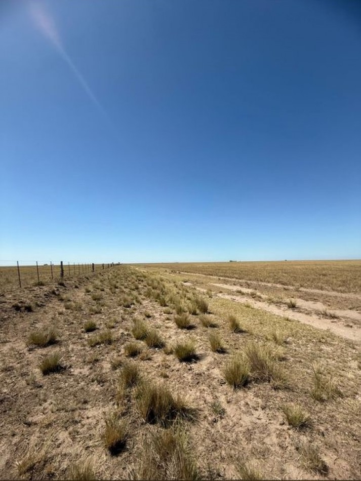 800 Ha Mixto - San German - Buenos Aires