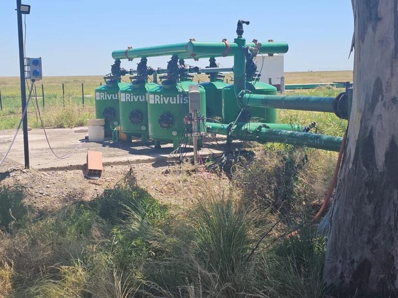 730 Ha Agricolas - Carmen de Patagones