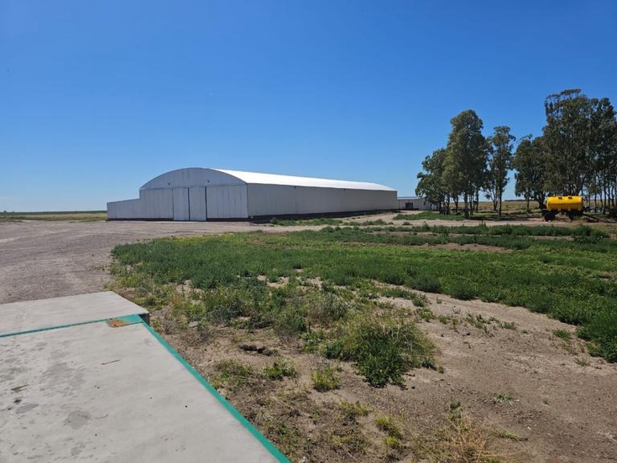 730 Ha Agricolas - Carmen de Patagones