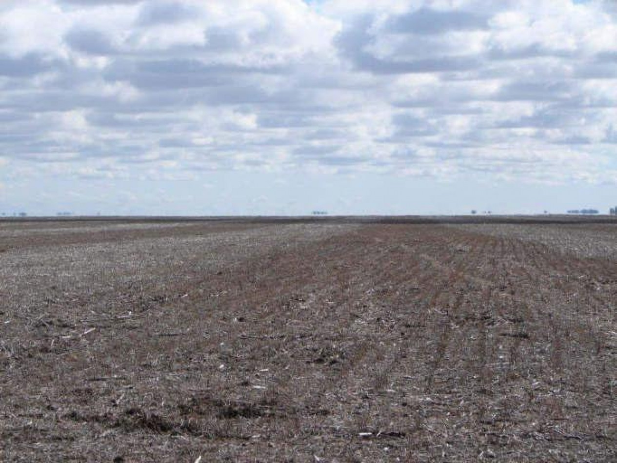 2035 Ha Agricolas - General Villegas