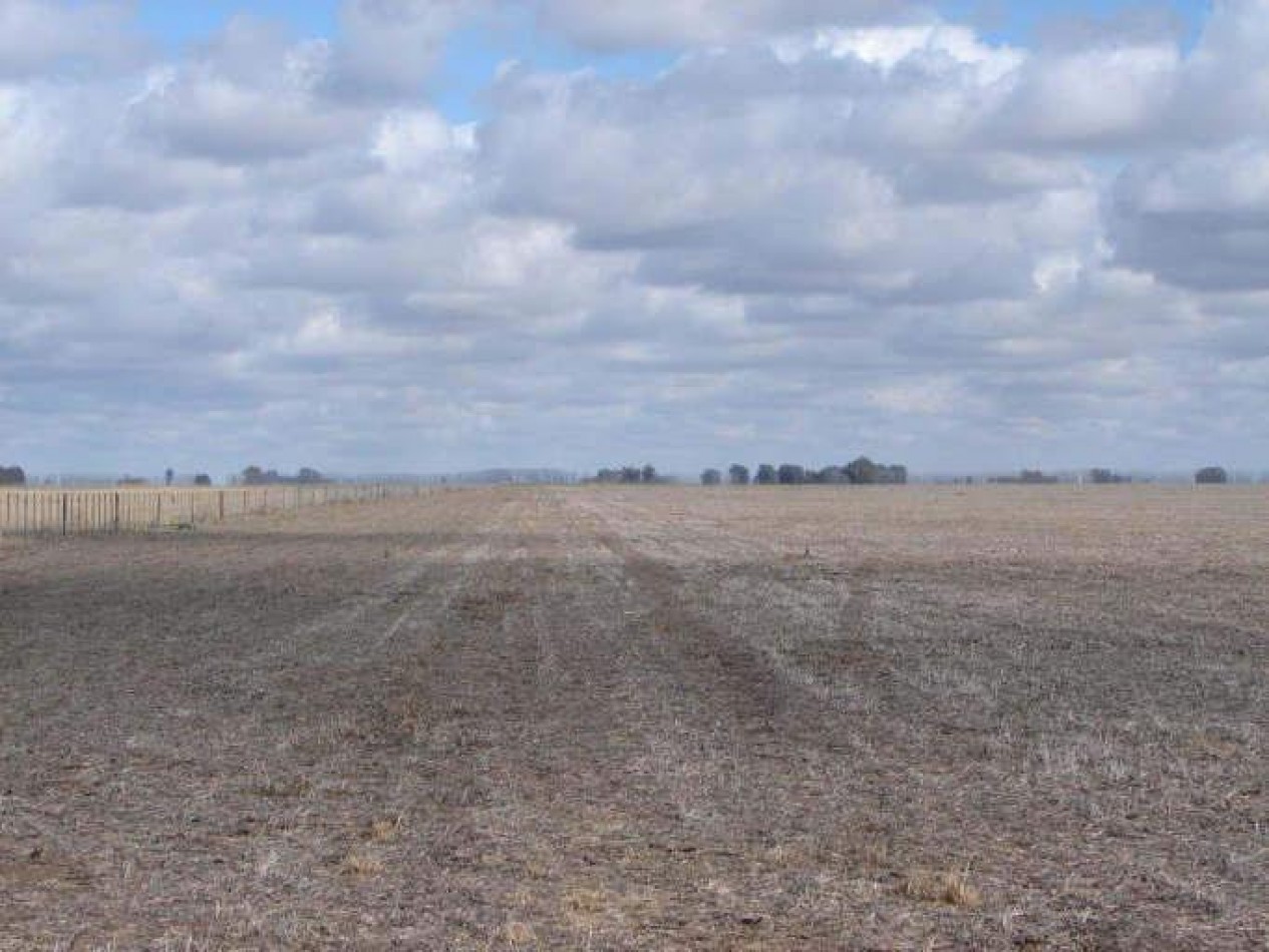 2035 Ha Agricolas - General Villegas