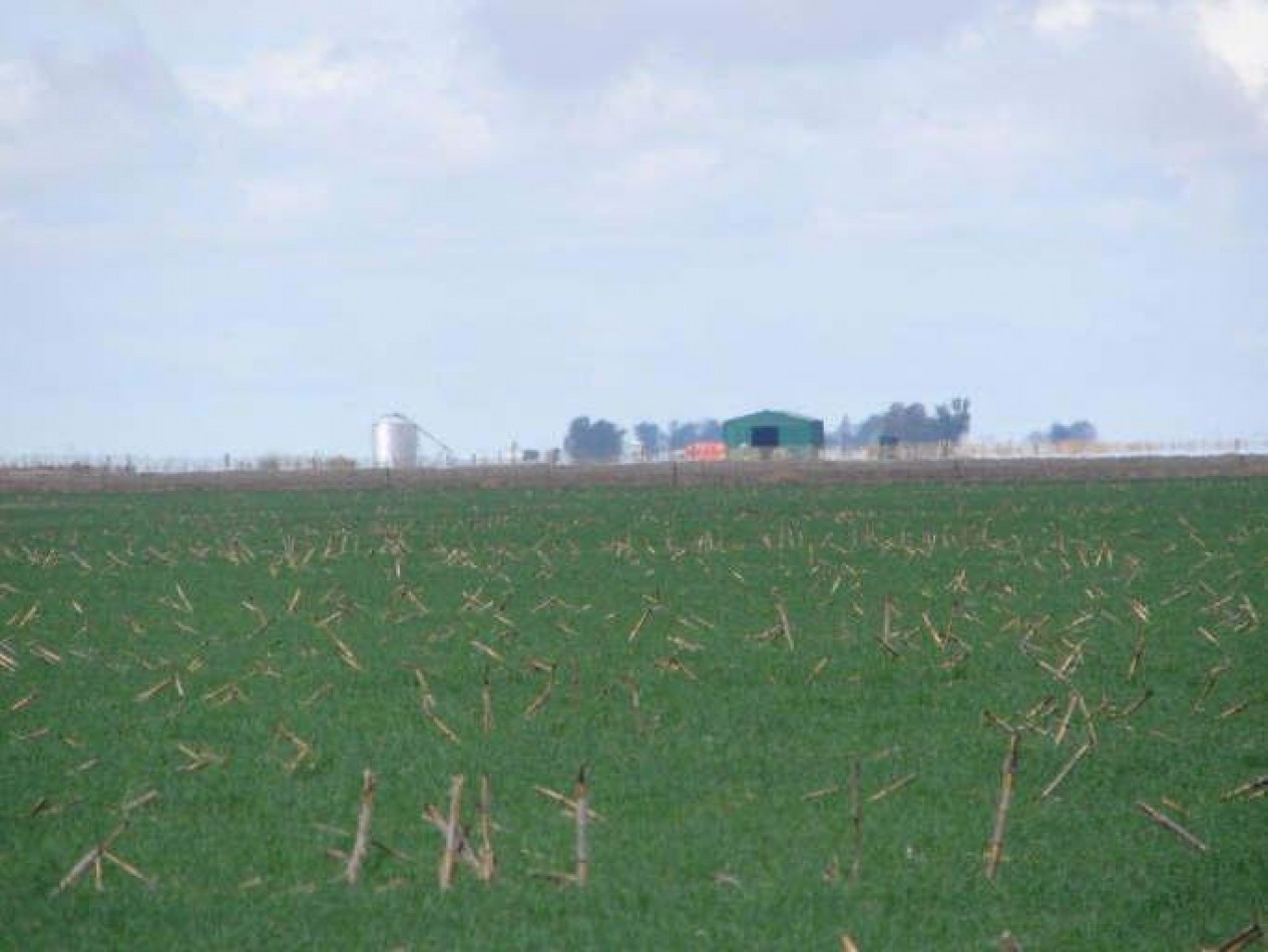 2035 Ha Agricolas - General Villegas