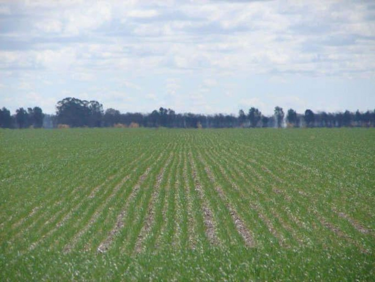 2035 Ha Agricolas - General Villegas