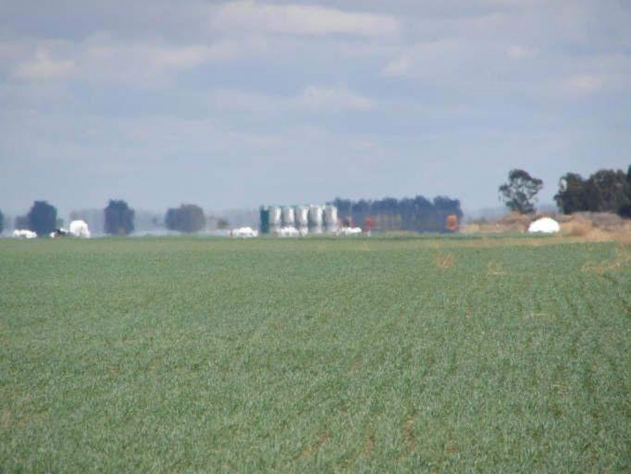 2035 Ha Agricolas - General Villegas