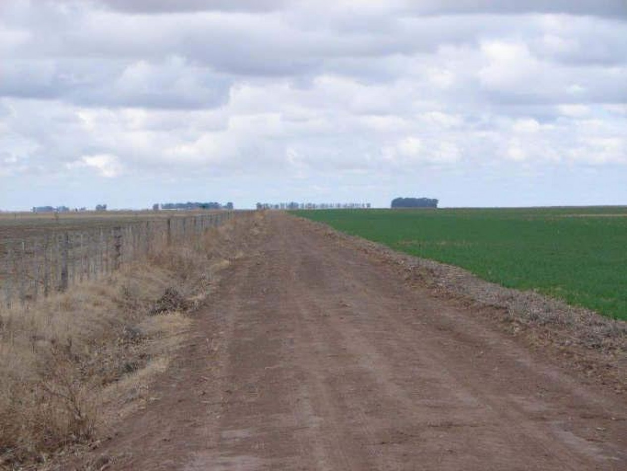 2035 Ha Agricolas - General Villegas