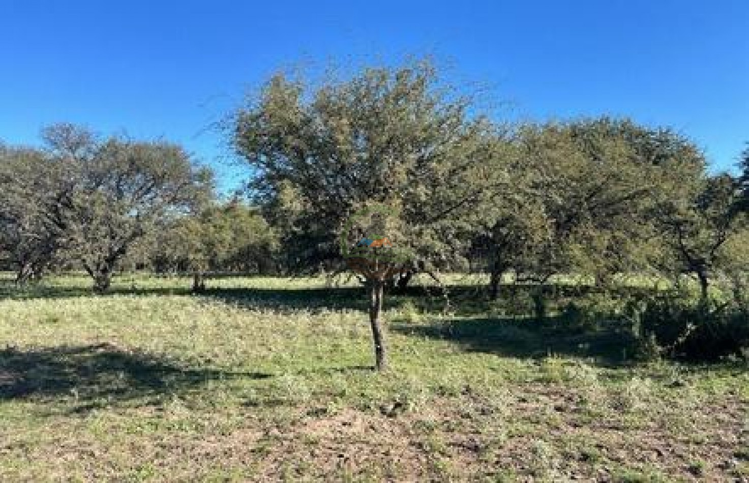 521 Ha Mixto - Toay - La Pampa
