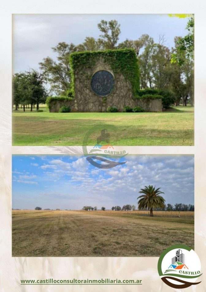 1420 Ha . Olivares - Lujan