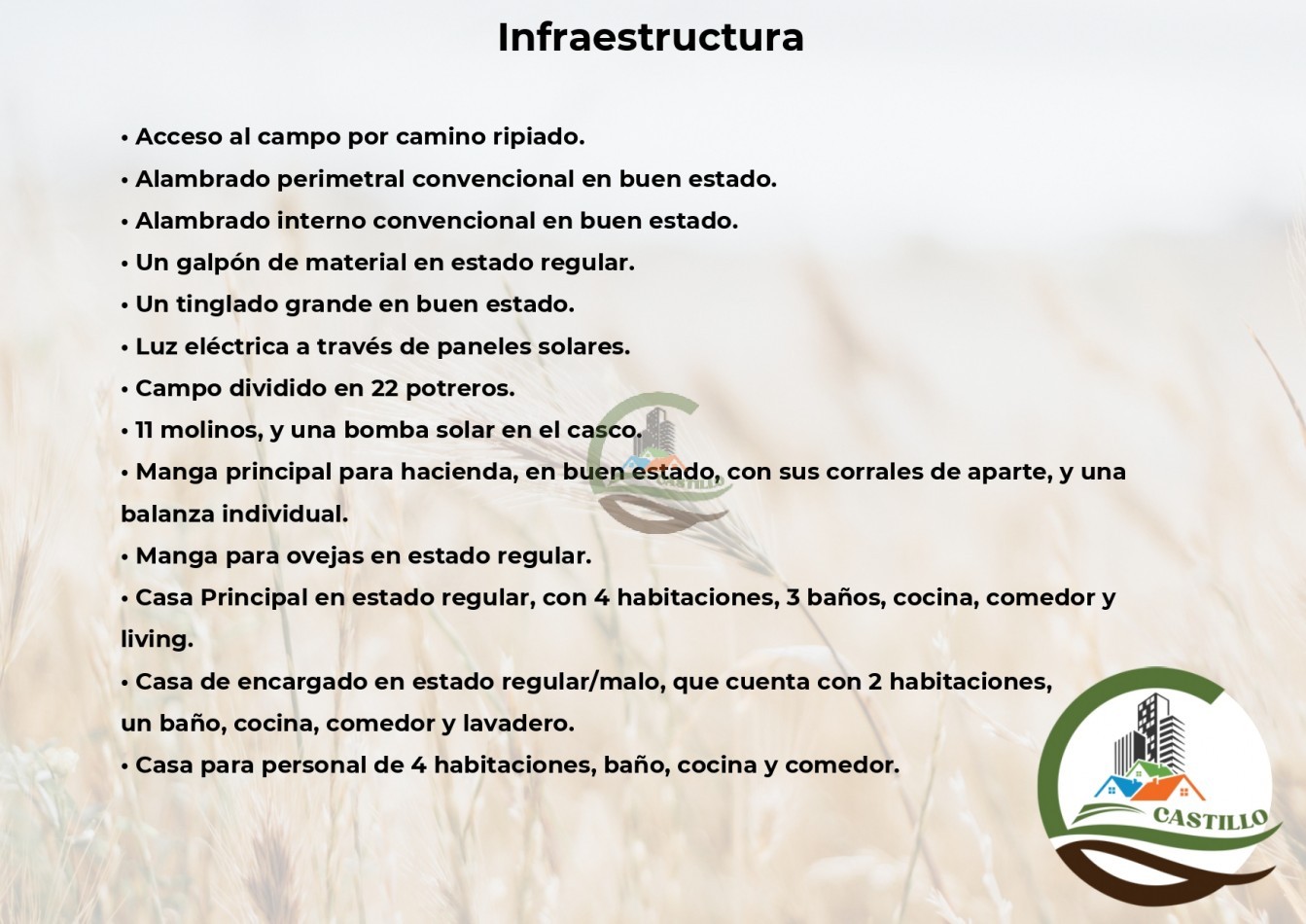 3275 ha ganaderas - general alvear