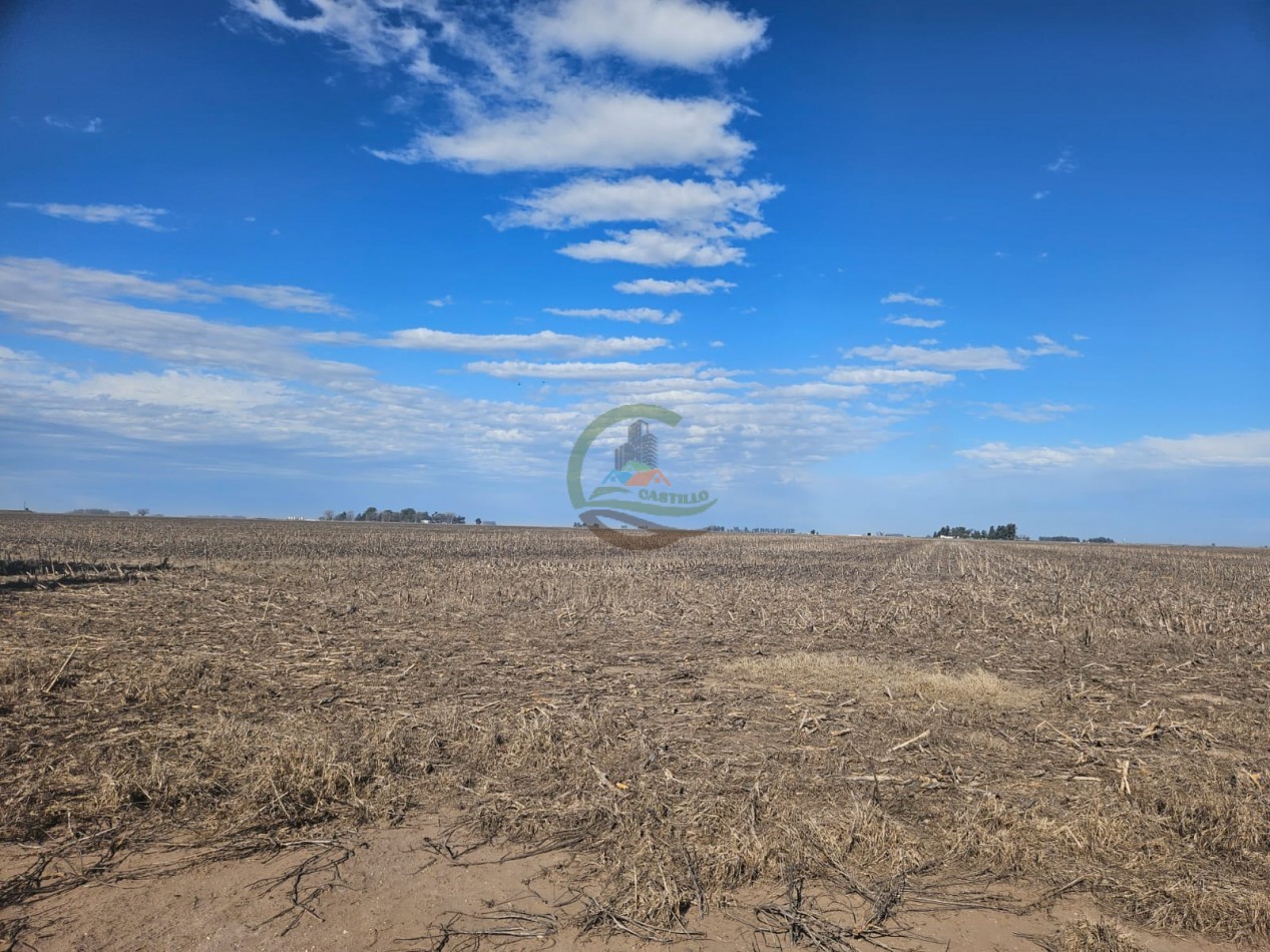797 ha Agricolas - Bolivar