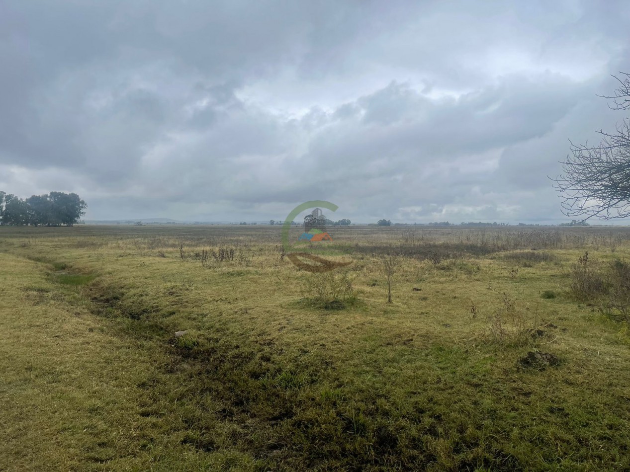 47 ha Ganadera - Olavarria