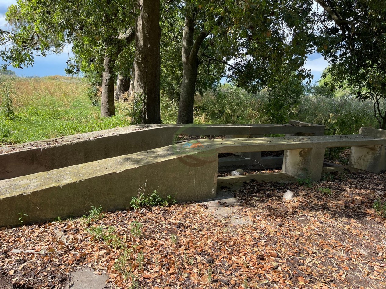 109 ha Feed Lot - Las Flores