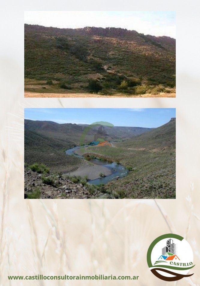10000 ha mixto - Neuquen