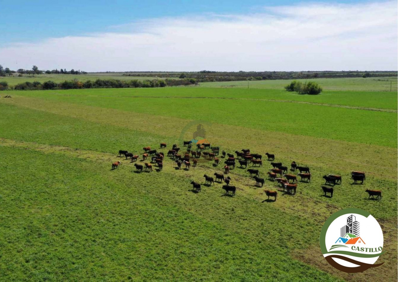 2658 ha Mixto - Entre Rios