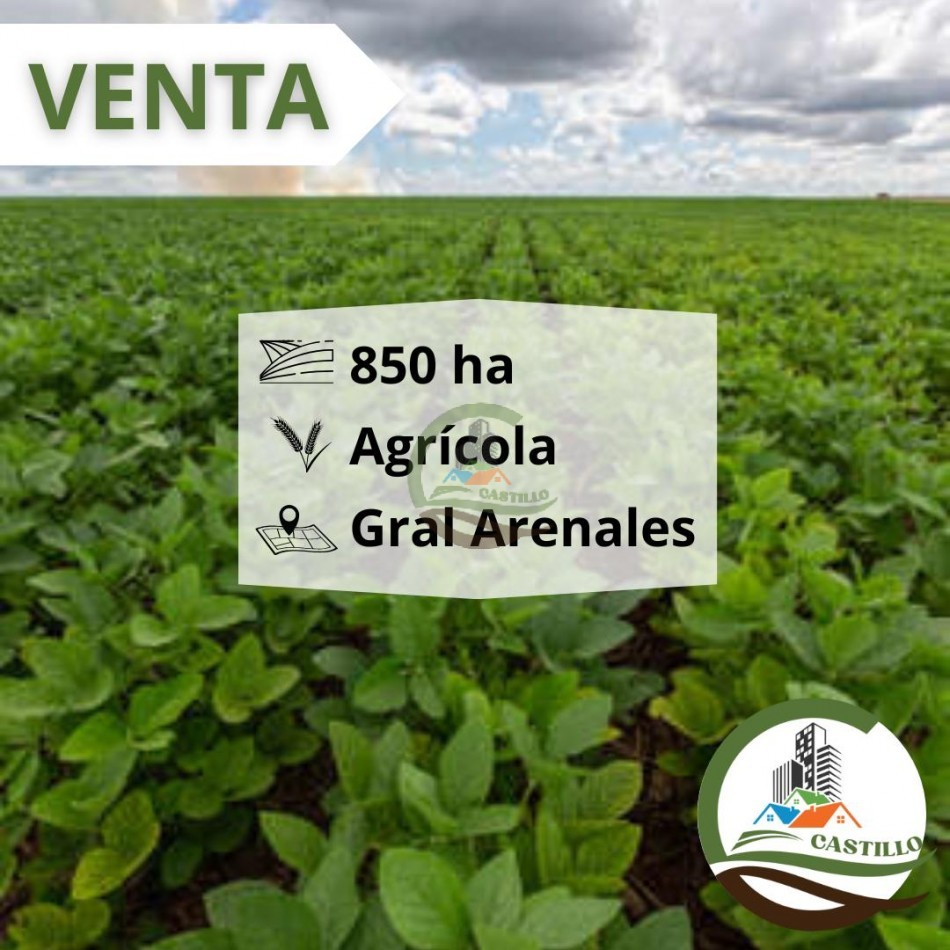 855 ha agricolas - general arenales