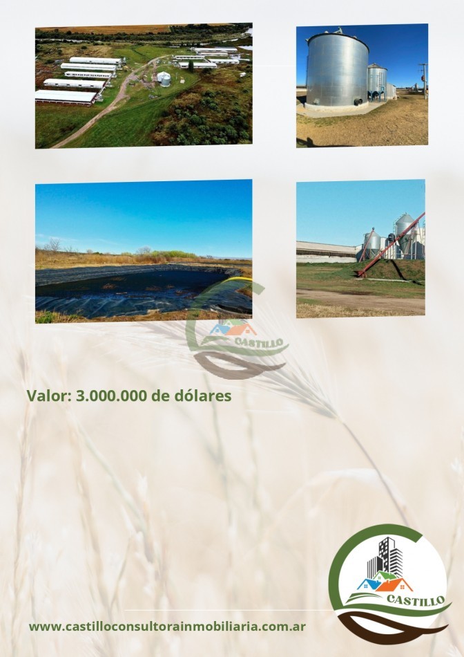 15 ha granja porcina - cordoba