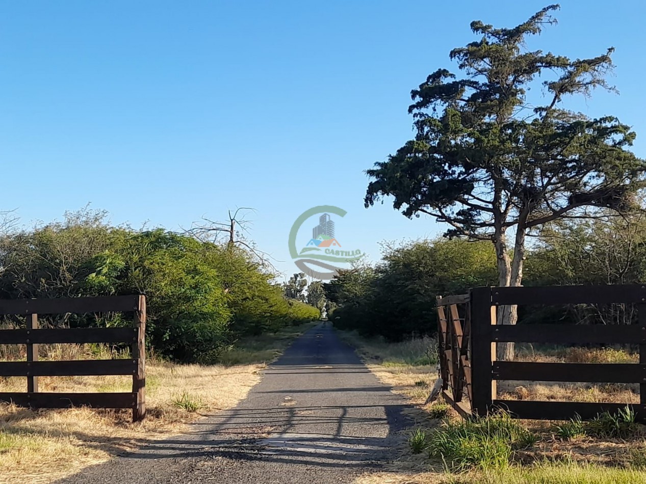 2200 Ha Agricolas - Laboulaye - Cordoba