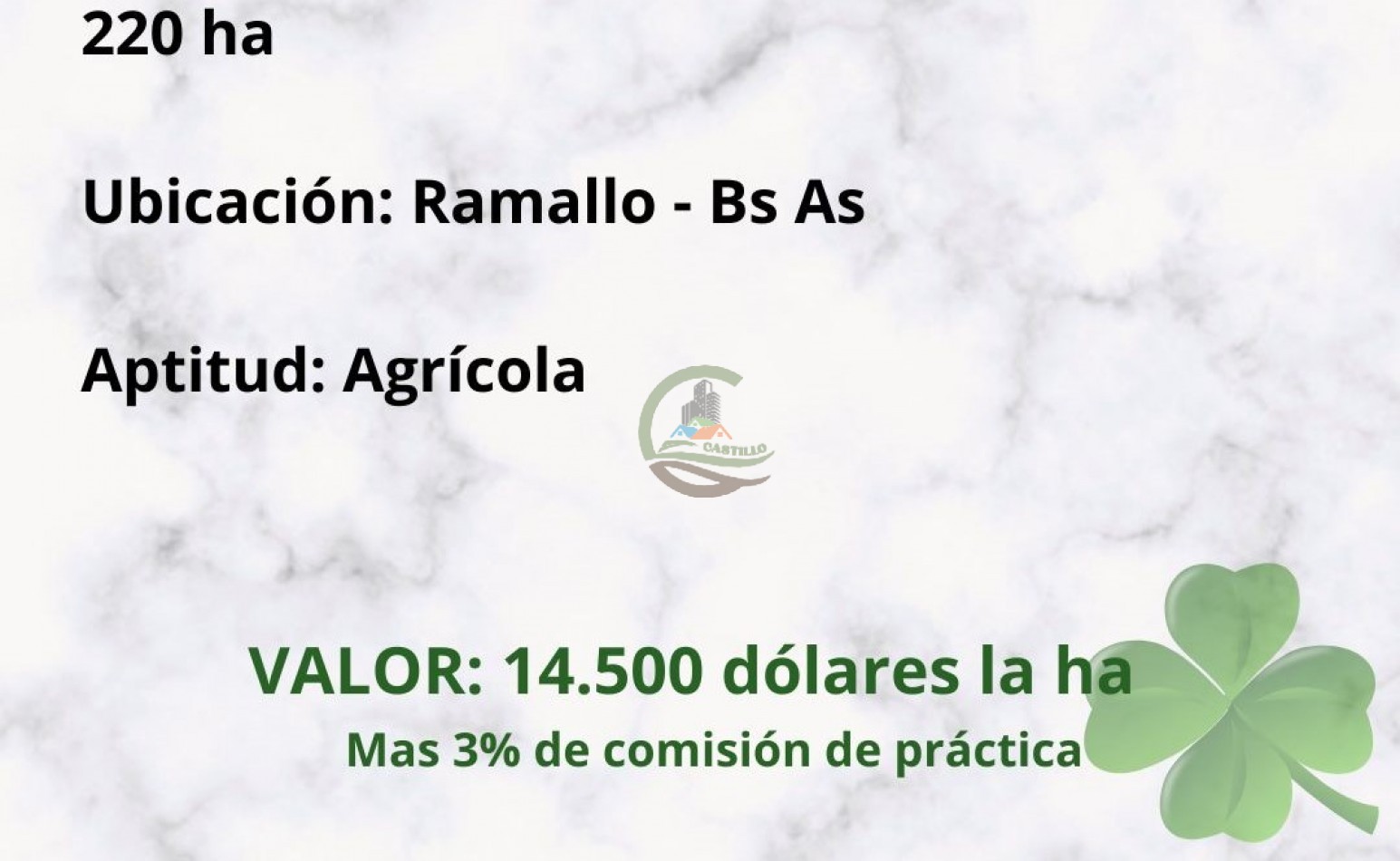 220 ha Agricolas - Ramallo