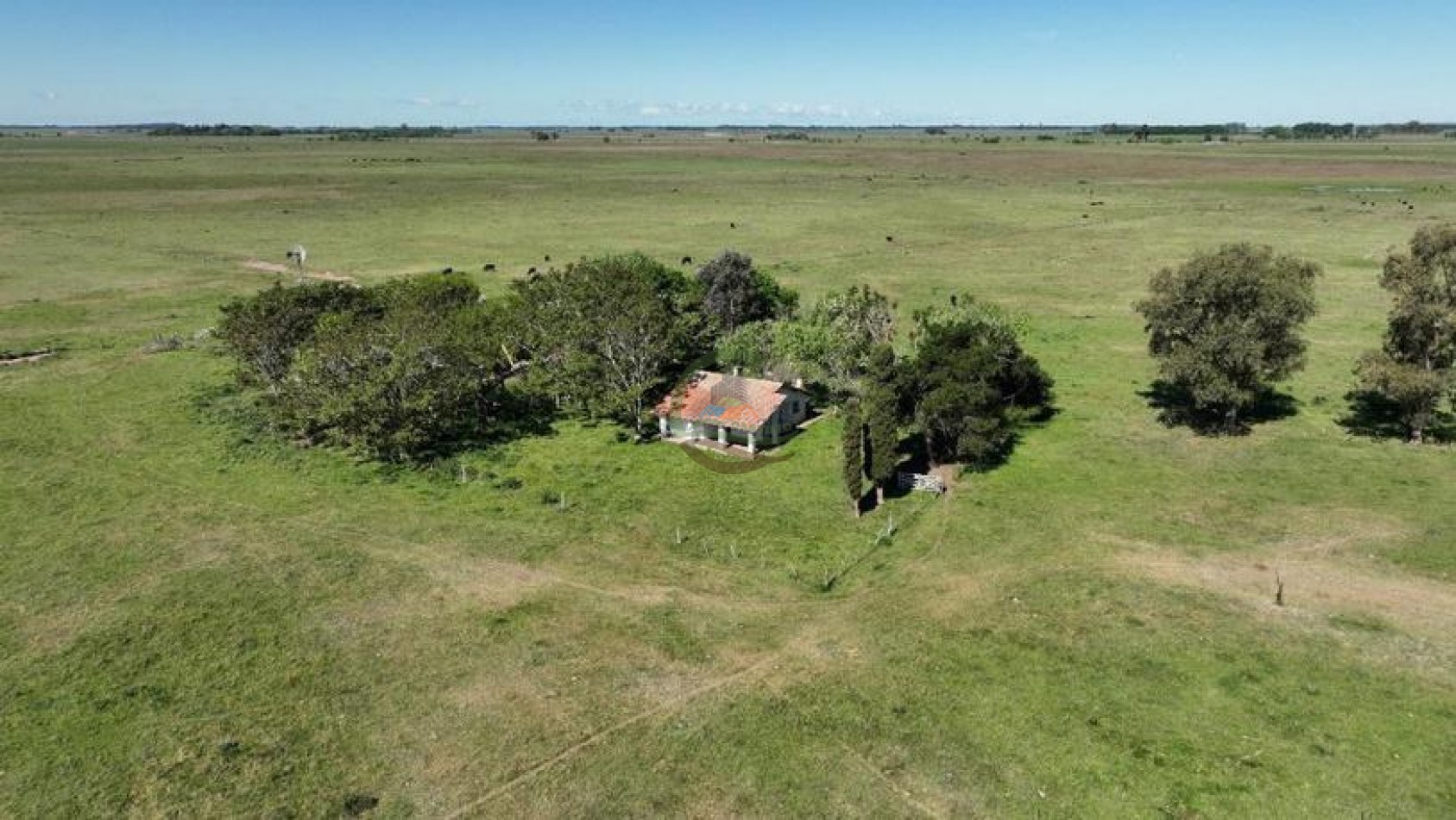 88 Ha Mixto - Udaondo - Cañuelas