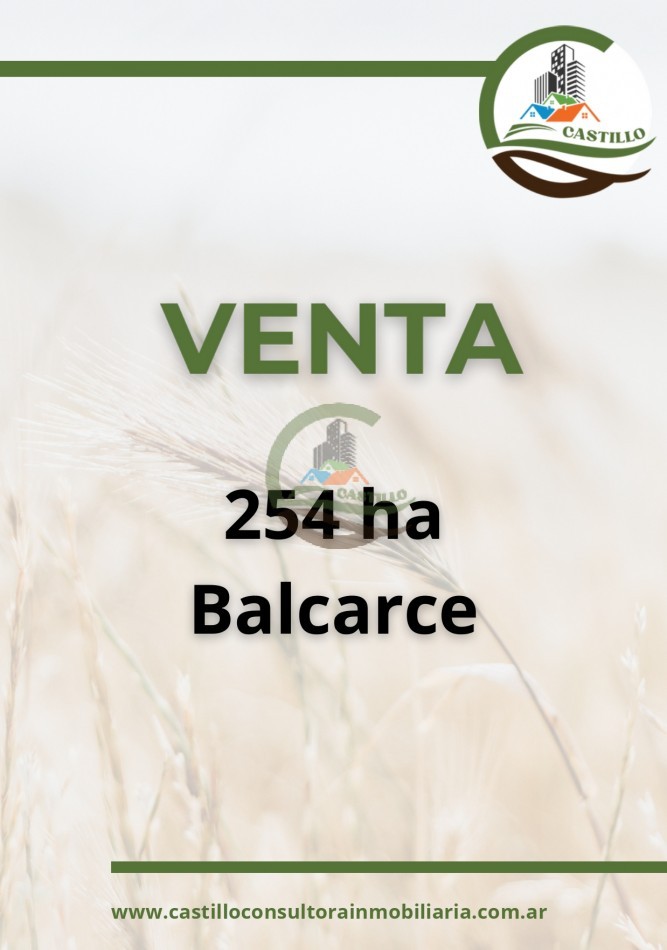 254 ha mixtas - balcarce