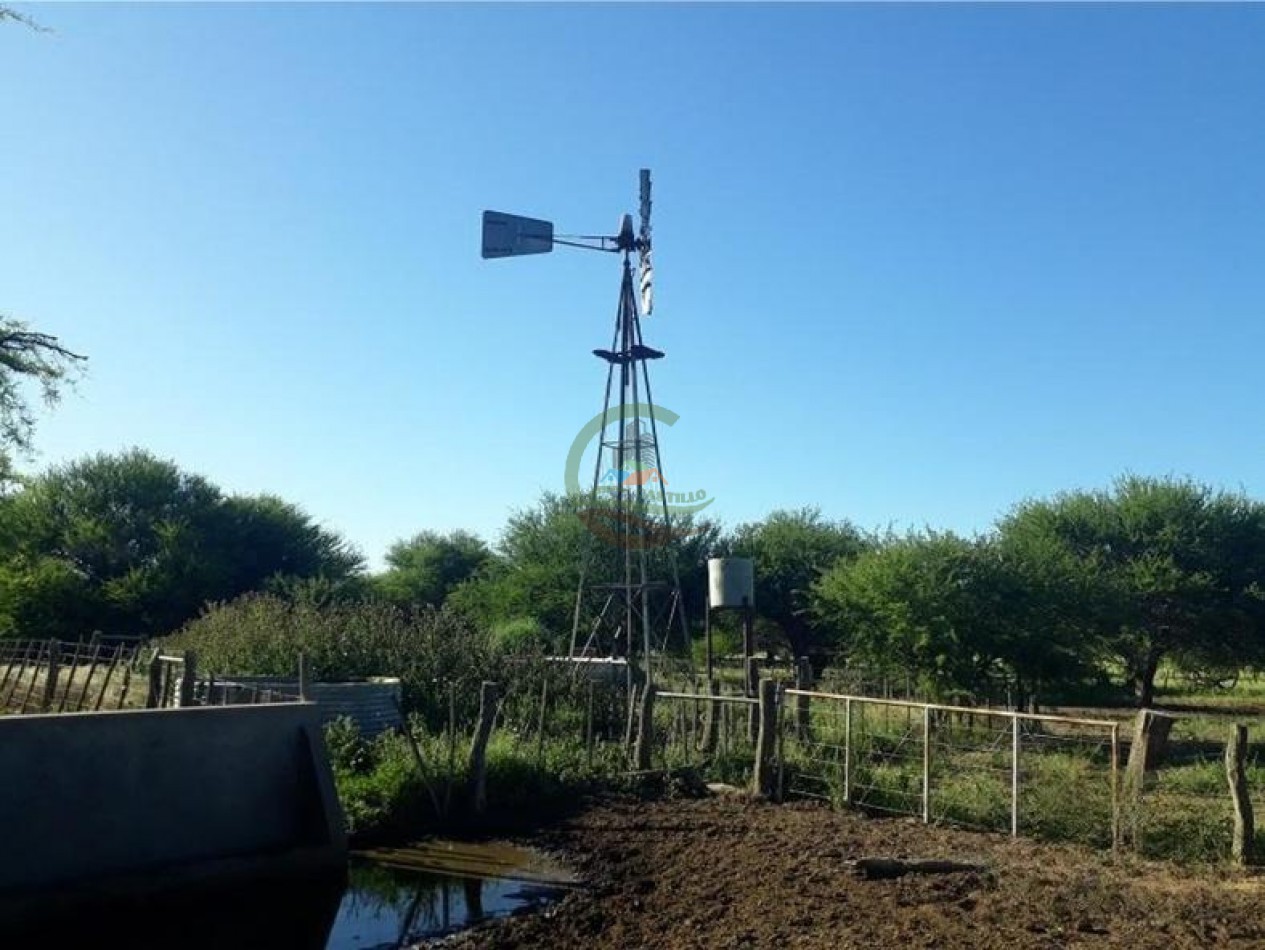 4954 Ha Ganadero - La Adela - La Pampa