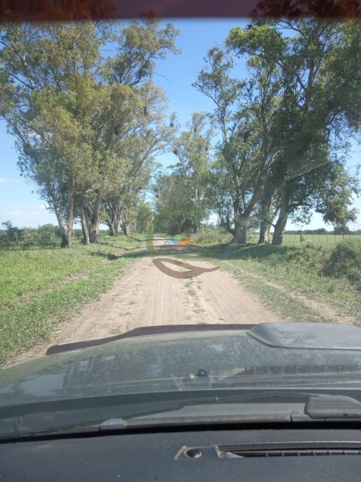 360 Ha Agricolas - Tostado - Santa Fe 