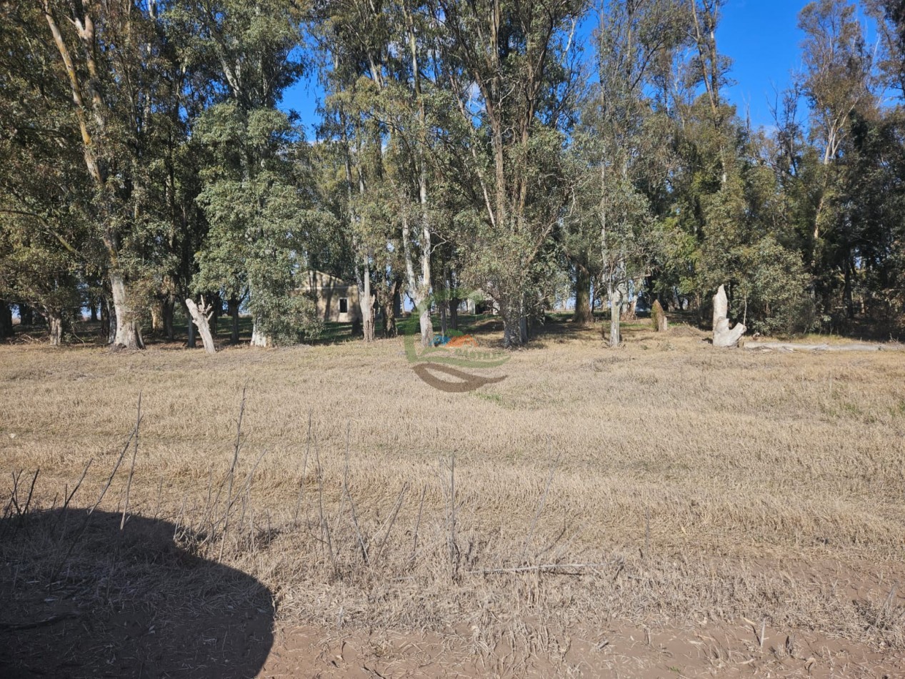 797 ha Agricolas - Bolivar