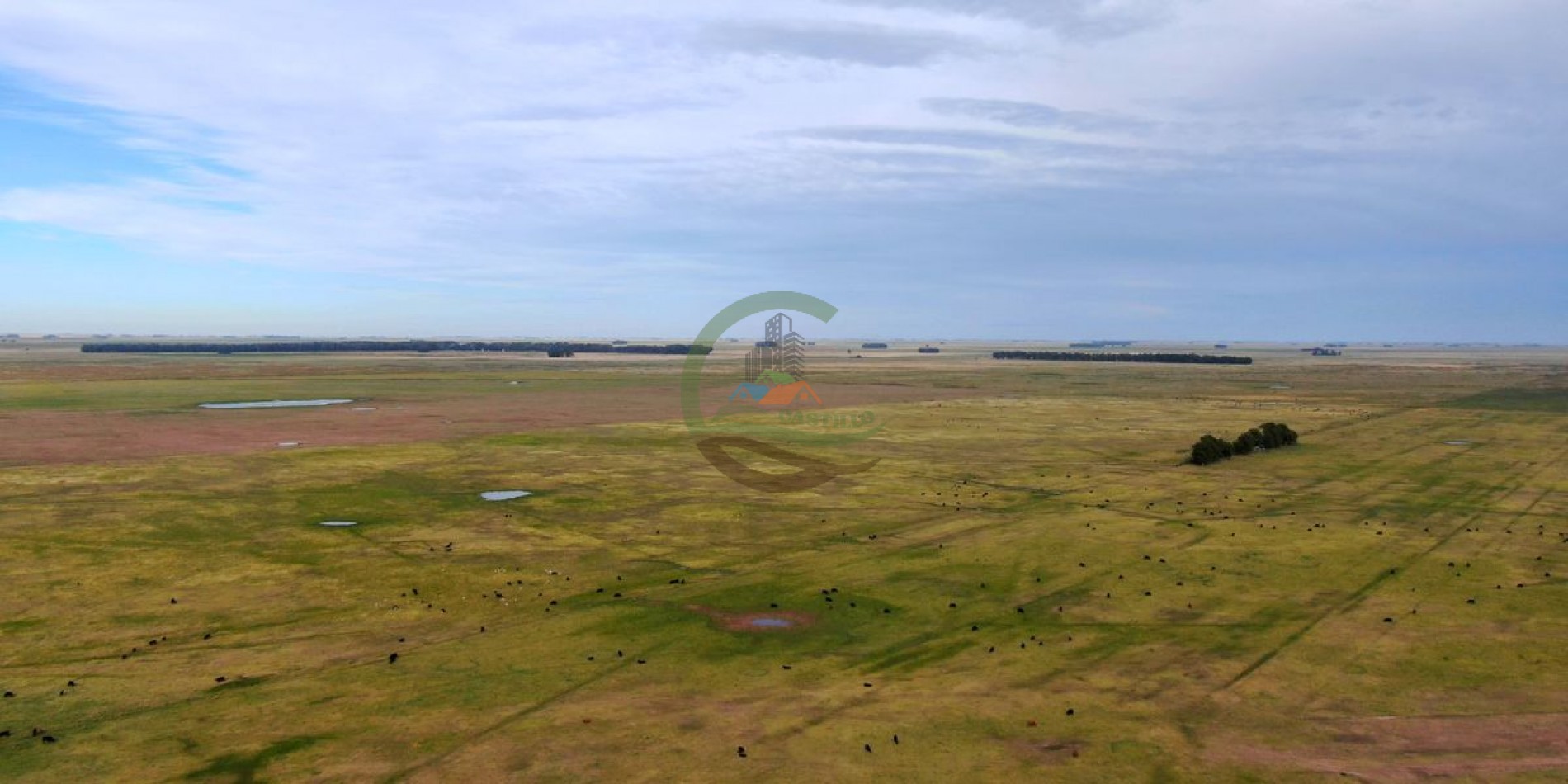 3977 ha Mixto - Olavarria