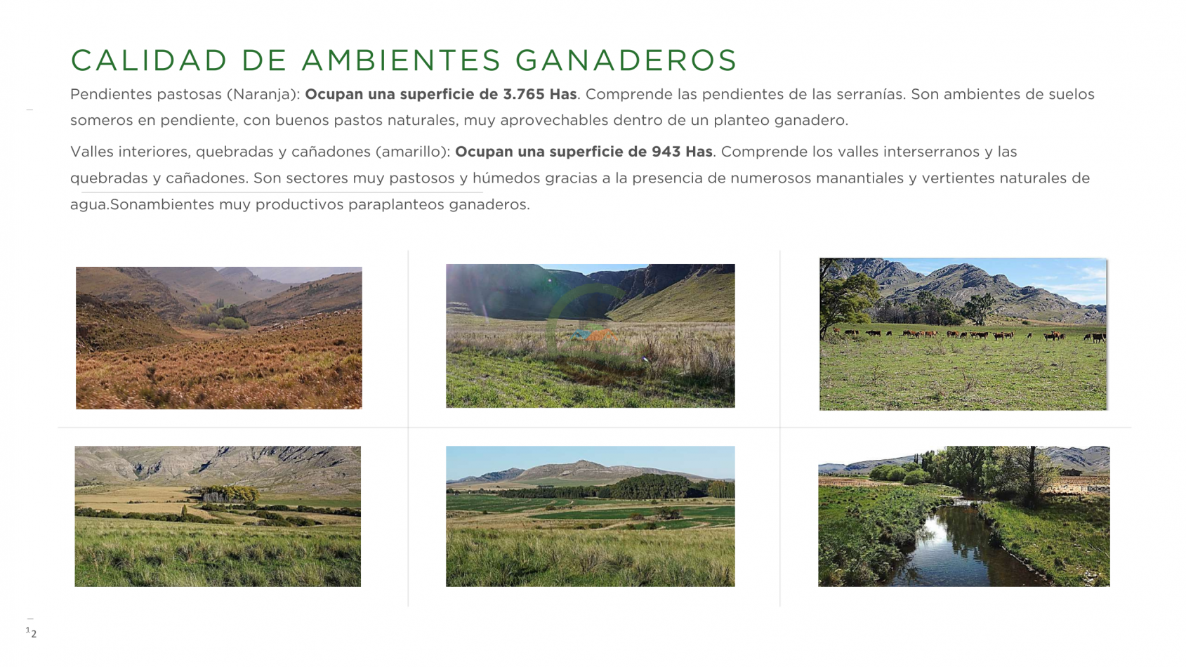 8722 HA Mixtas - Tornquist