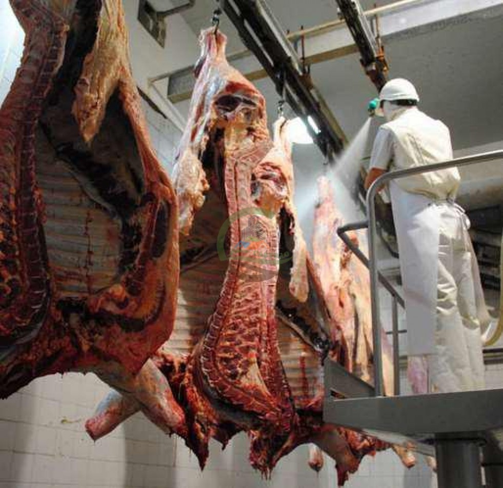 Frigorifico - con feedlot- Exportadora - La Adela - La Pampa