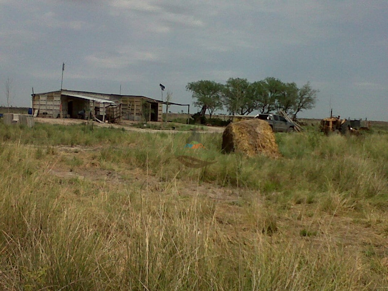 3400 ha ganadera - Santa Fe