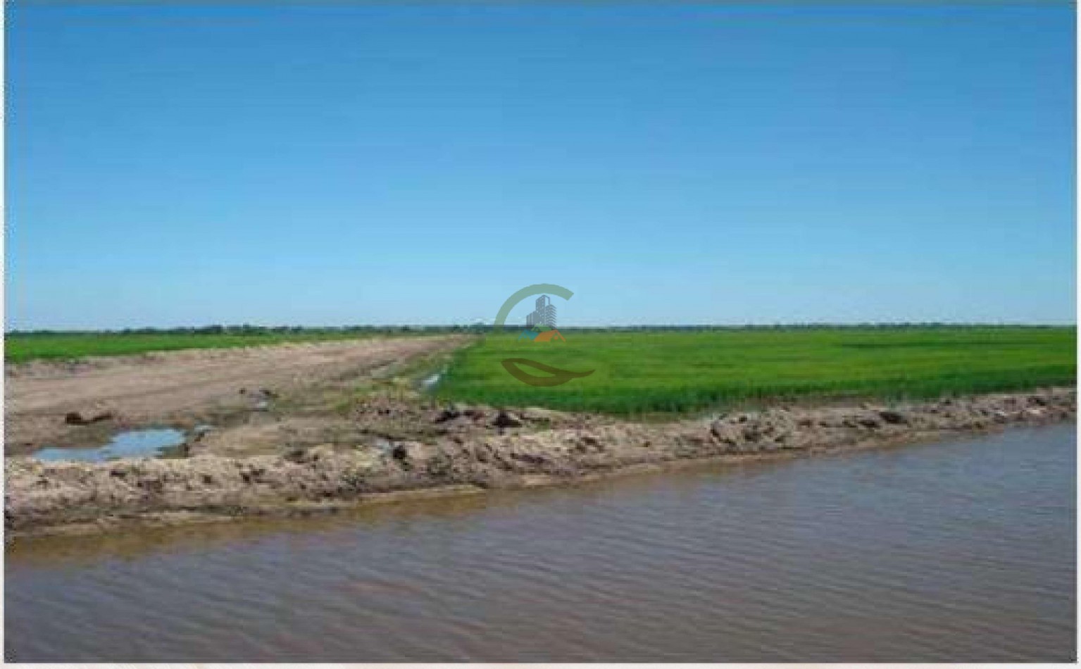4168 Ha Mixto - San Luis del Palmar - Corrientes