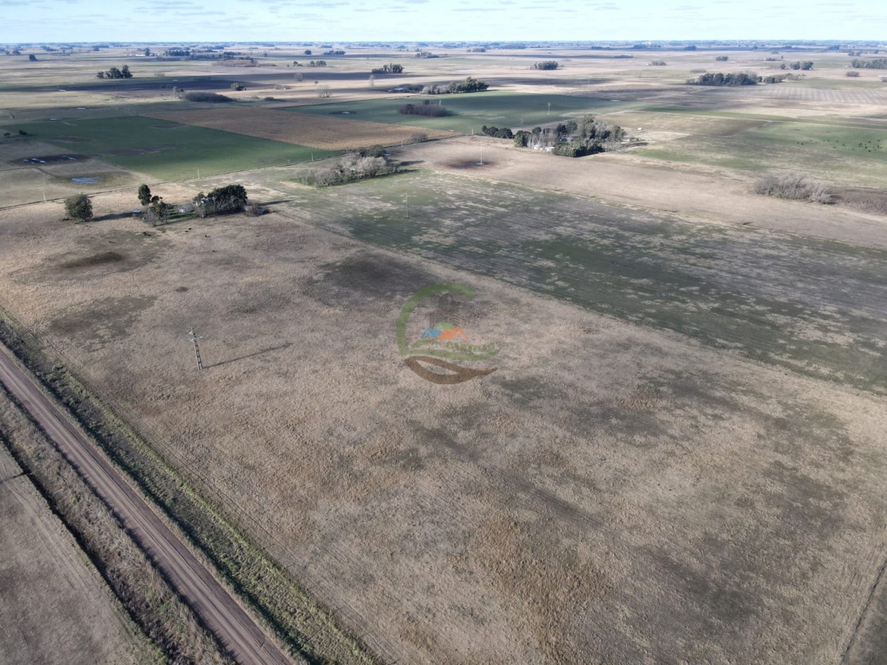12,6 ha Mixtas - Saladillo